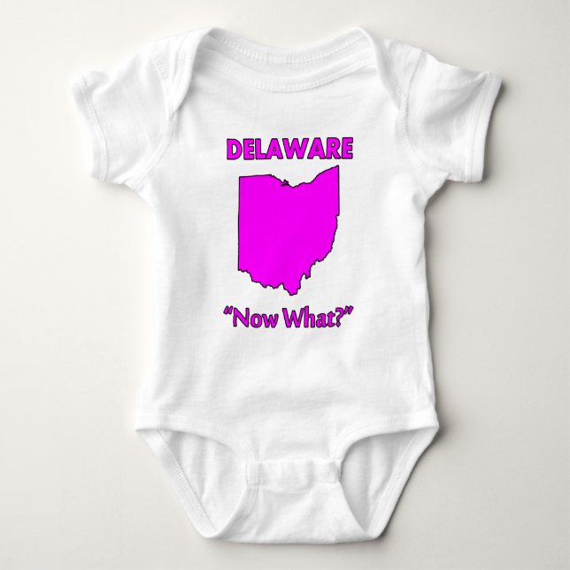 Delaware - Now What? Baby Bodysuit (Front)