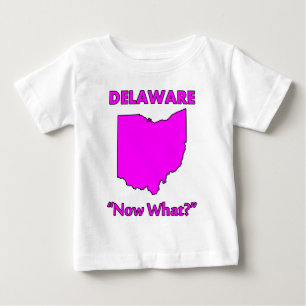 Delaware - Now What? Baby T-Shirt