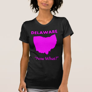Delaware - Now What? T-Shirt