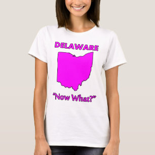 Delaware - Now What? T-Shirt