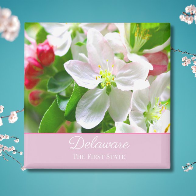 Delaware Peach Blossoms First State Magnet (Creator Uploaded)