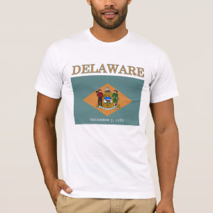 Delaware State Flag American Apparel T-shirt