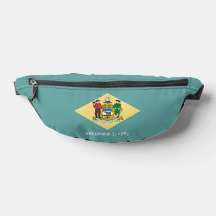 Delaware State Flag Design Decor Bum Bags