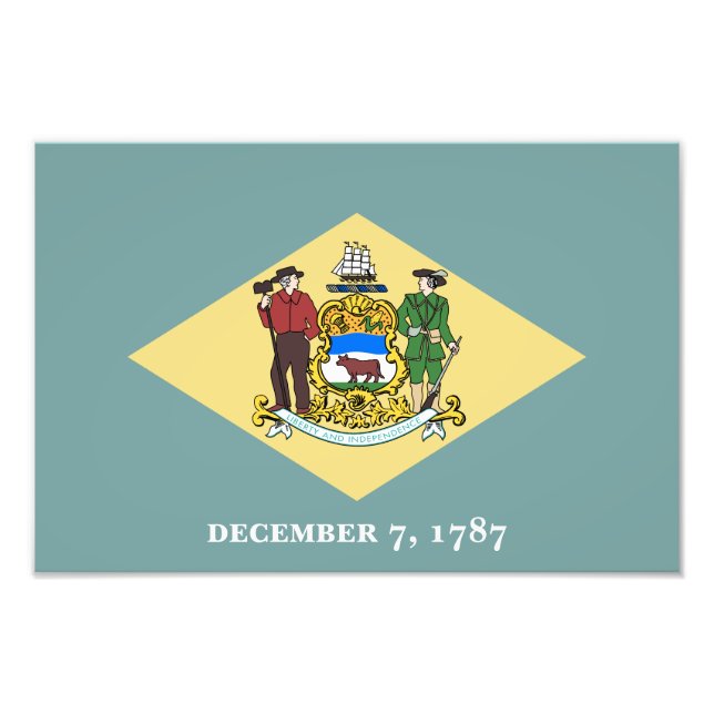 Delaware State Flag Photo Print (Front)