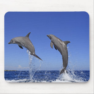 Delfin 2 mouse pad