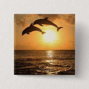 Delfin 3 15 cm square badge