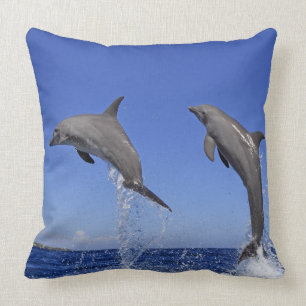 Delfin,Delphin,Grosser Tuemmler,Tursiops 3 Cushion