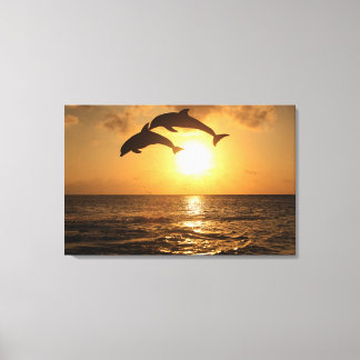 Delfin,Delphin,Grosser Tuemmler,Tursiops Canvas Print