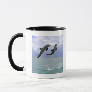 Delfin (Grosser Tuemmler) Mug