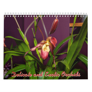 Delicate and Exotic Orchids Calendar