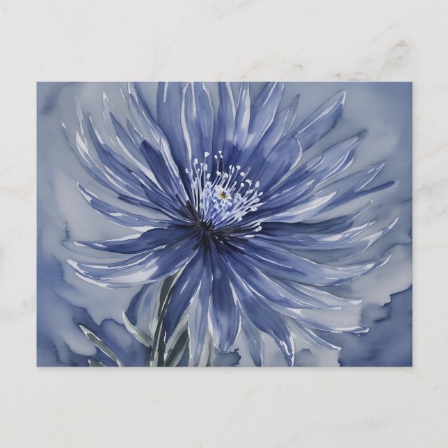 Delicate Anemone Floral Watercolor Postcard (Front)