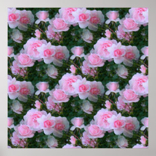 Delicate Beauty... Poster