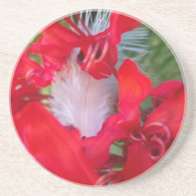 Delicate Beauty: Red Flower with White Feather Coaster (Front)
