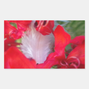 Delicate Beauty: Red Flower with White Feather Rectangular Sticker
