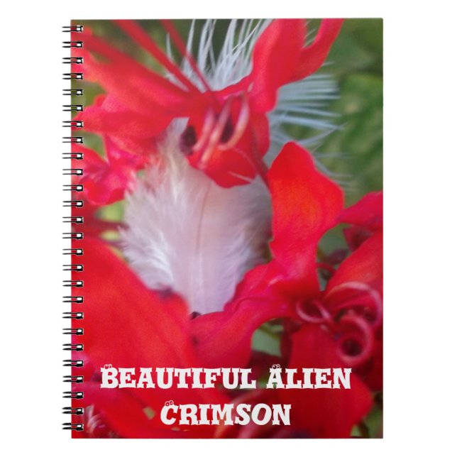 Delicate Beauty: Red Flower with White Feather Spiral Notebook (Front)