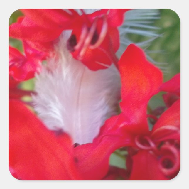 Delicate Beauty: Red Flower with White Feather Square Sticker (Front)