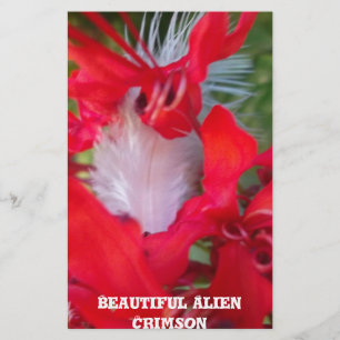 Delicate Beauty: Red Flower with White Feather Stationery