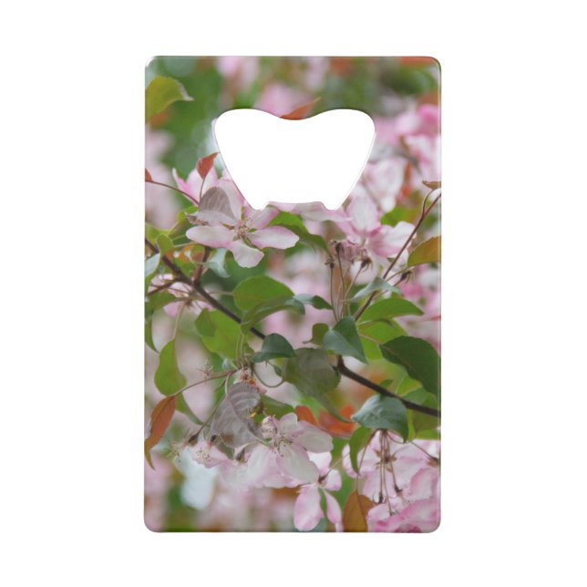 Delicate branch with flowers apple tree (Back)