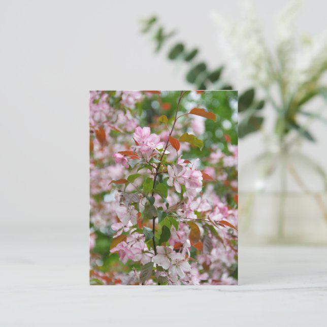 Delicate branch with flowers apple tree postcard (Standing Front)