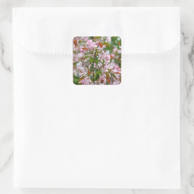 Delicate branch with flowers apple tree square sticker (Bag)