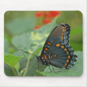 Delicate Butterfly Mouse Pad