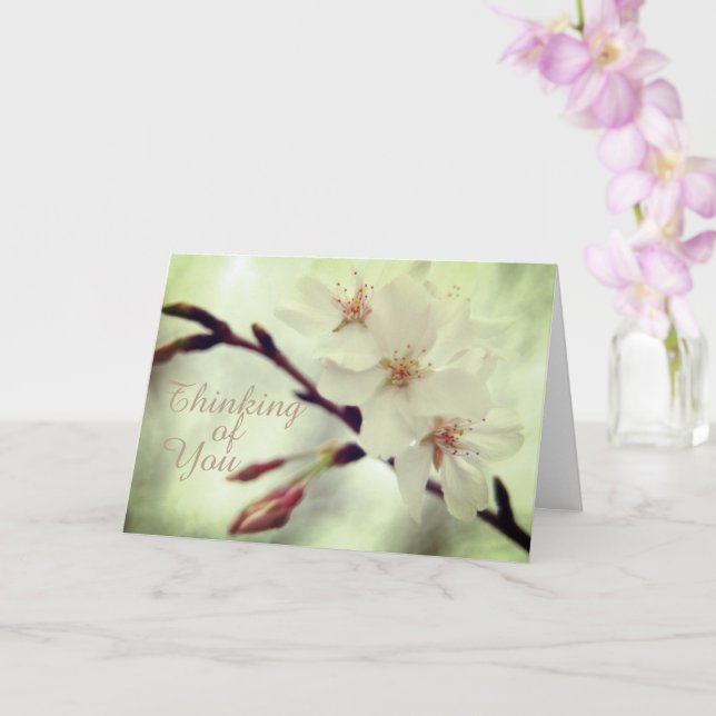 Delicate Cherry Blossoms Card (Orchid)