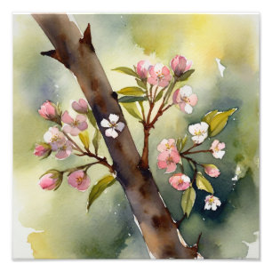 Delicate Cherry Blossoms Watercolor Painting Photo Print