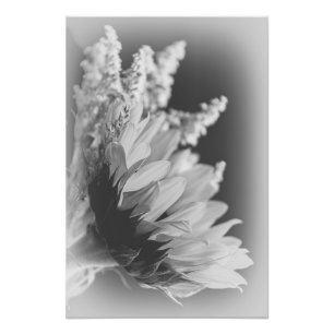 Delicate Contrast 2 Photo Print