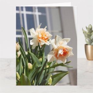 Delicate cute daffodils spring card