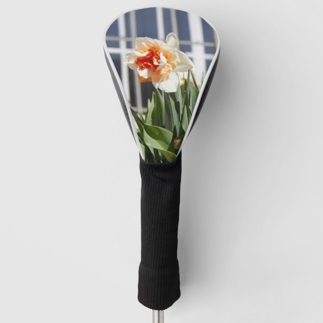 Delicate cute daffodils spring    golf head cover (Front)