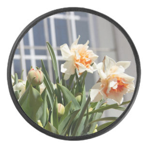 Delicate cute daffodils spring hockey puck