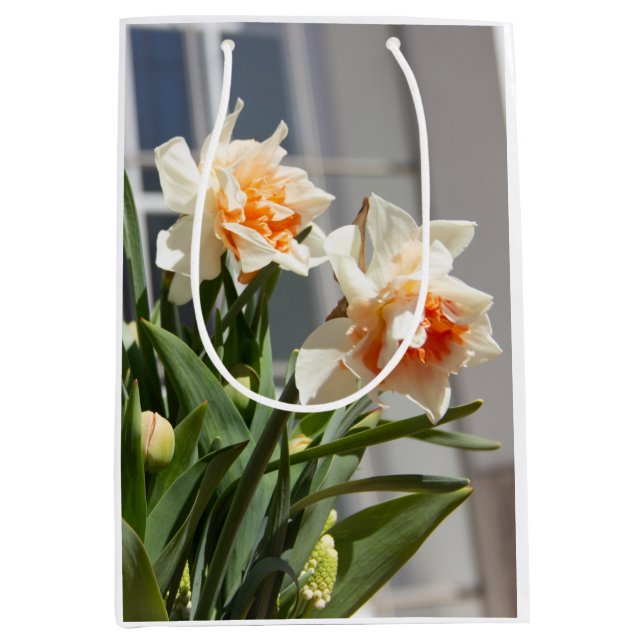 Delicate cute daffodils spring    medium gift bag (Front)