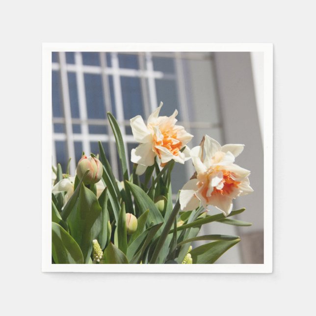 Delicate cute daffodils spring    napkin (Front)