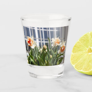 Delicate cute daffodils spring shot glass