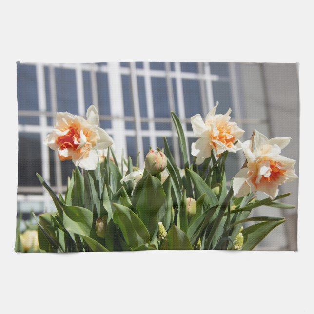 Delicate cute daffodils spring     tea towel (Horizontal)