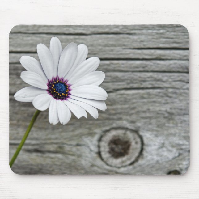 Delicate Daisy Mouse Pad (Front)
