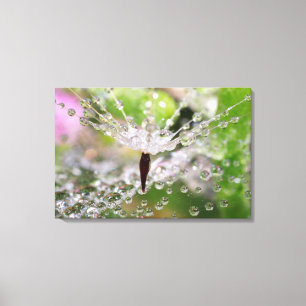Delicate Dandelion Abstract Canvas Print