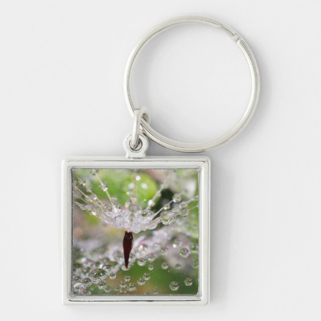 Delicate Dandelion Abstract Key Ring (Front)