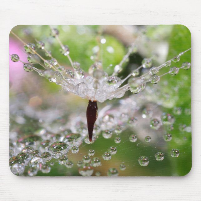 Delicate Dandelion Abstract Mouse Pad (Front)