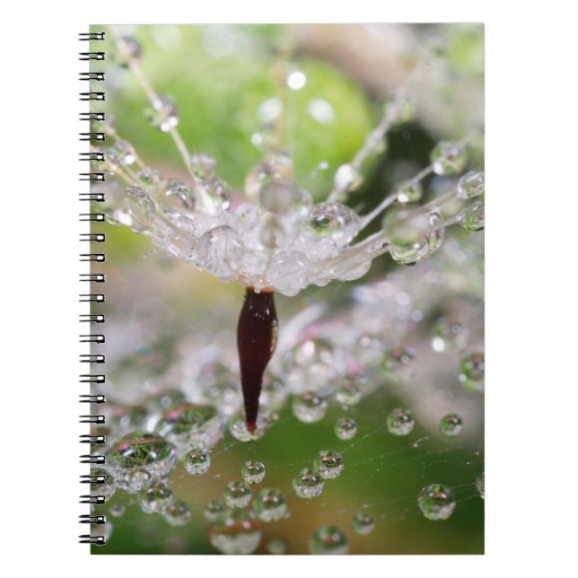 Delicate Dandelion Abstract Notebook (Front)