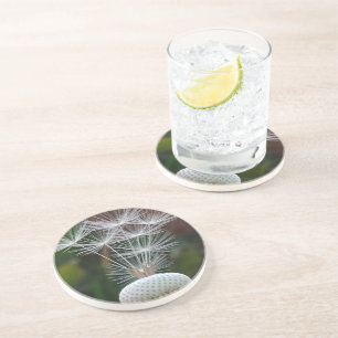 Delicate Dandelion Seeds Coaster