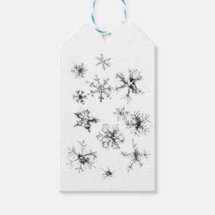 Delicate Falling Snowflakes Gift Tags