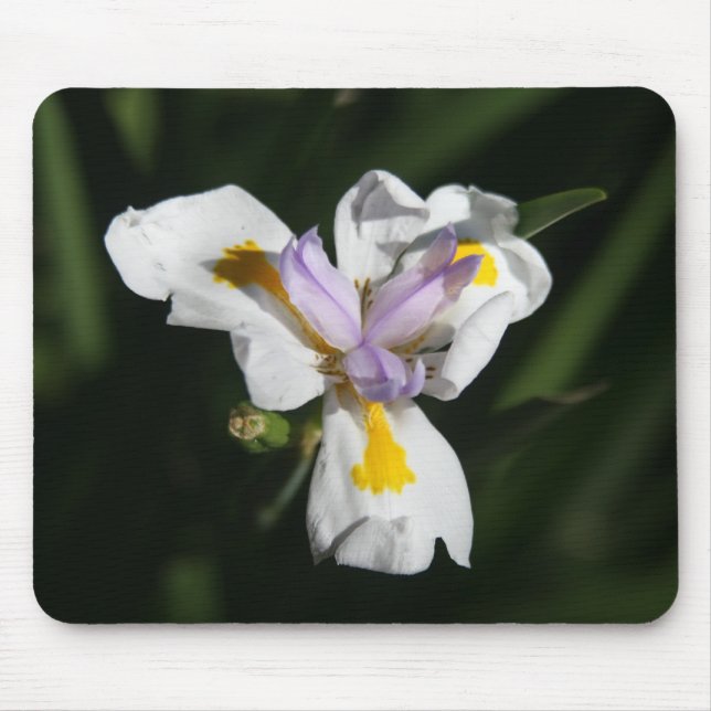delicate flower mouse pad (Front)