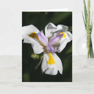 delicate flower petals thank you card