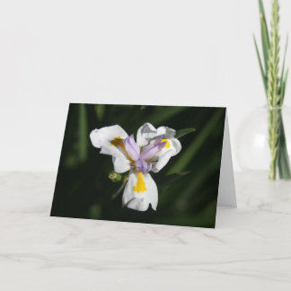 delicate flower thank you card