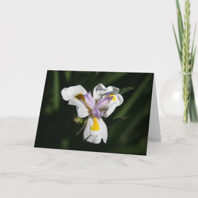 delicate flower thank you card (Front)