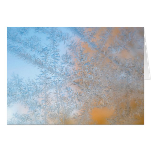 Delicate frost pattern, Wisconsin (Front Horizontal)