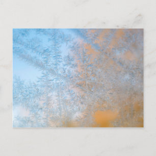 Delicate frost pattern, Wisconsin Postcard