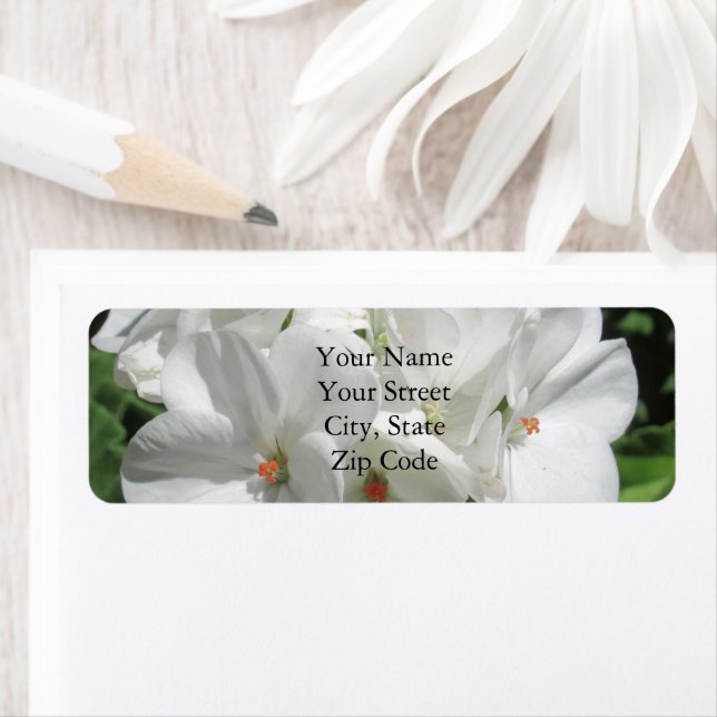 Delicate Girly White Geranium Flower Photo  (Insitu)