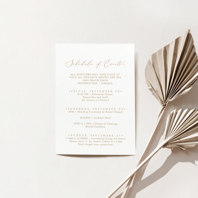 Delicate Gold Wedding Weekend Schedule of Events Enclosure Card (Creator Uploaded)